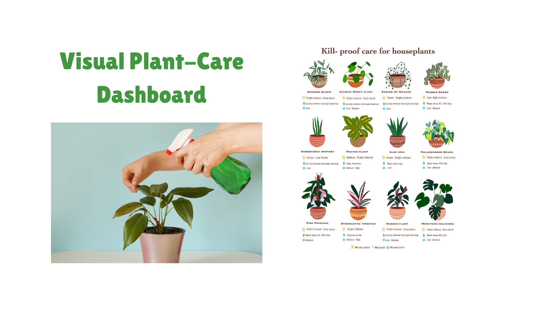 Plant dashboard screenshot